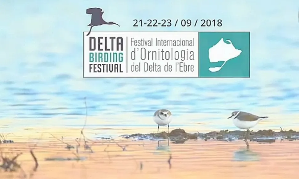 Cartell de la cinquena edició del Delta Birding Festival, que se celebra del 21 al 23 de setembre a Món Natura Delta  