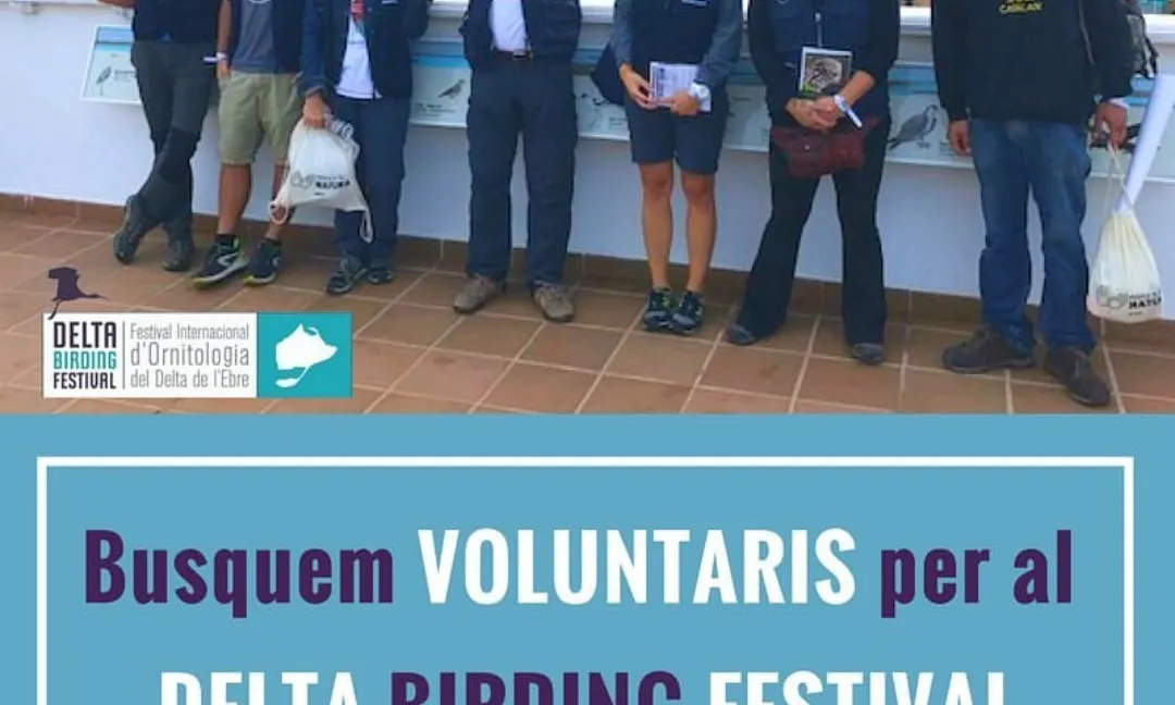 Es pot participar al Delta Birding Festival com a voluntaris o voluntàries