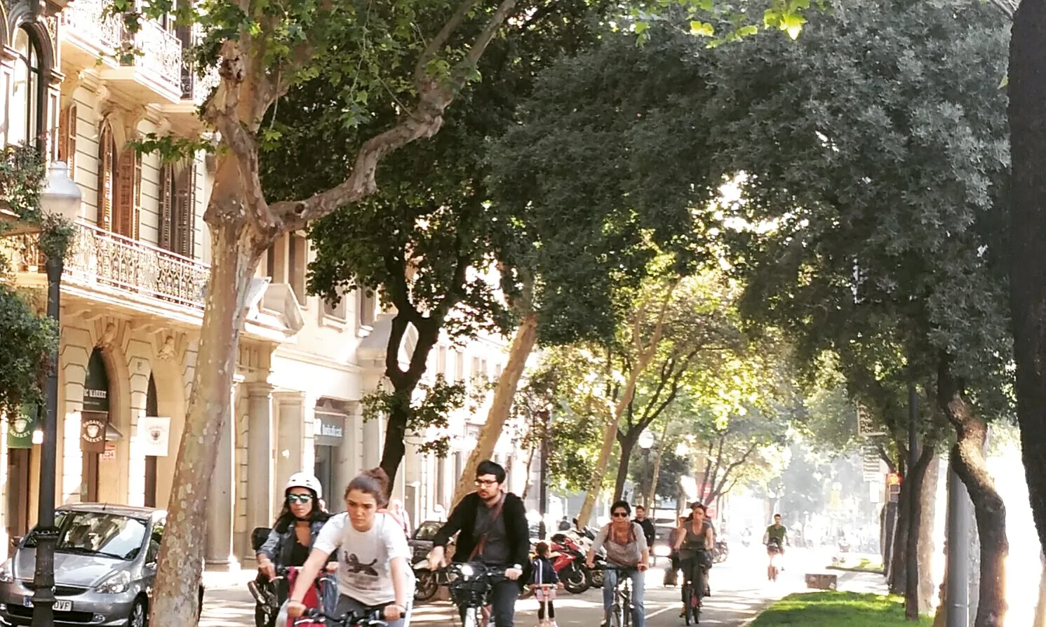 Ciclistes circulant per la Diagonal de Barcelona sota les alzines