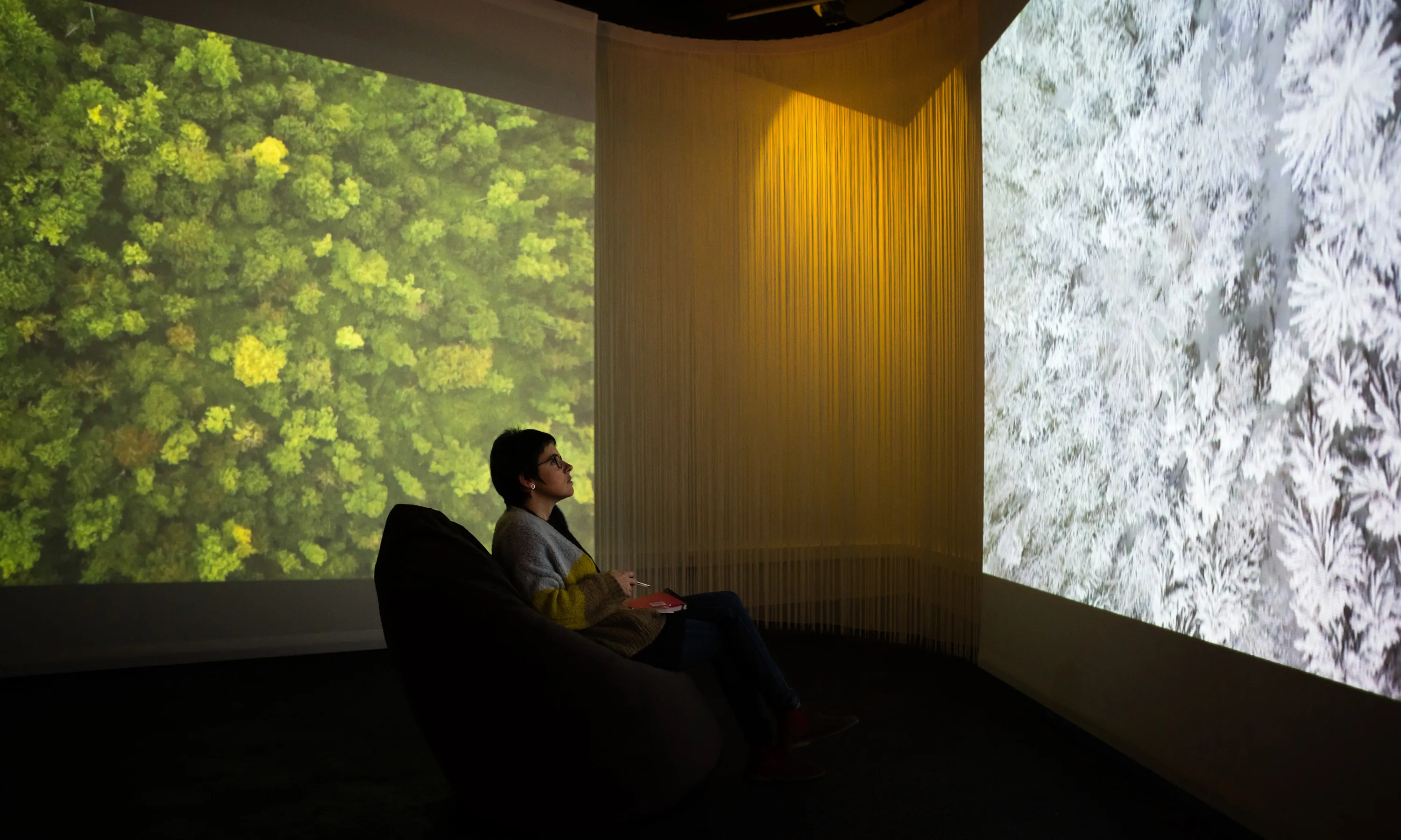 L'exposició Som Natura es pot visitar al Museu Blau fins el novembre de 2019