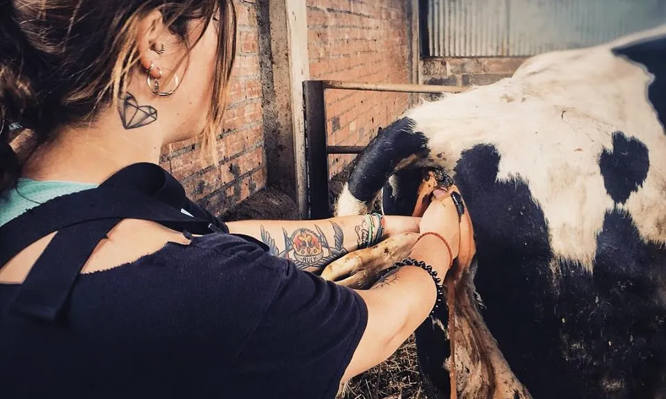 Neix l’Associació de Dones del Món Rural, Pageses i Ramaderes de Catalunya