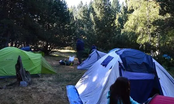Tendes de campanya plantades en un bosc