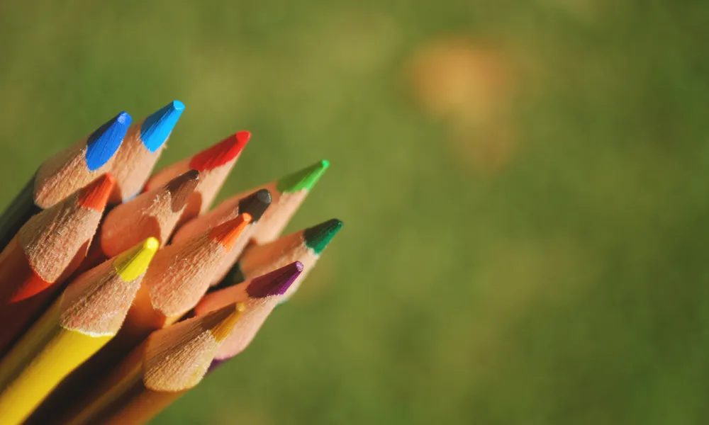 Llapissos de colors i de fons un jardí