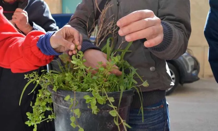 L'Associació Corremarges es dedica a l'aprofitament dels recursos naturals, en particular les plantes espontànies comestibles.