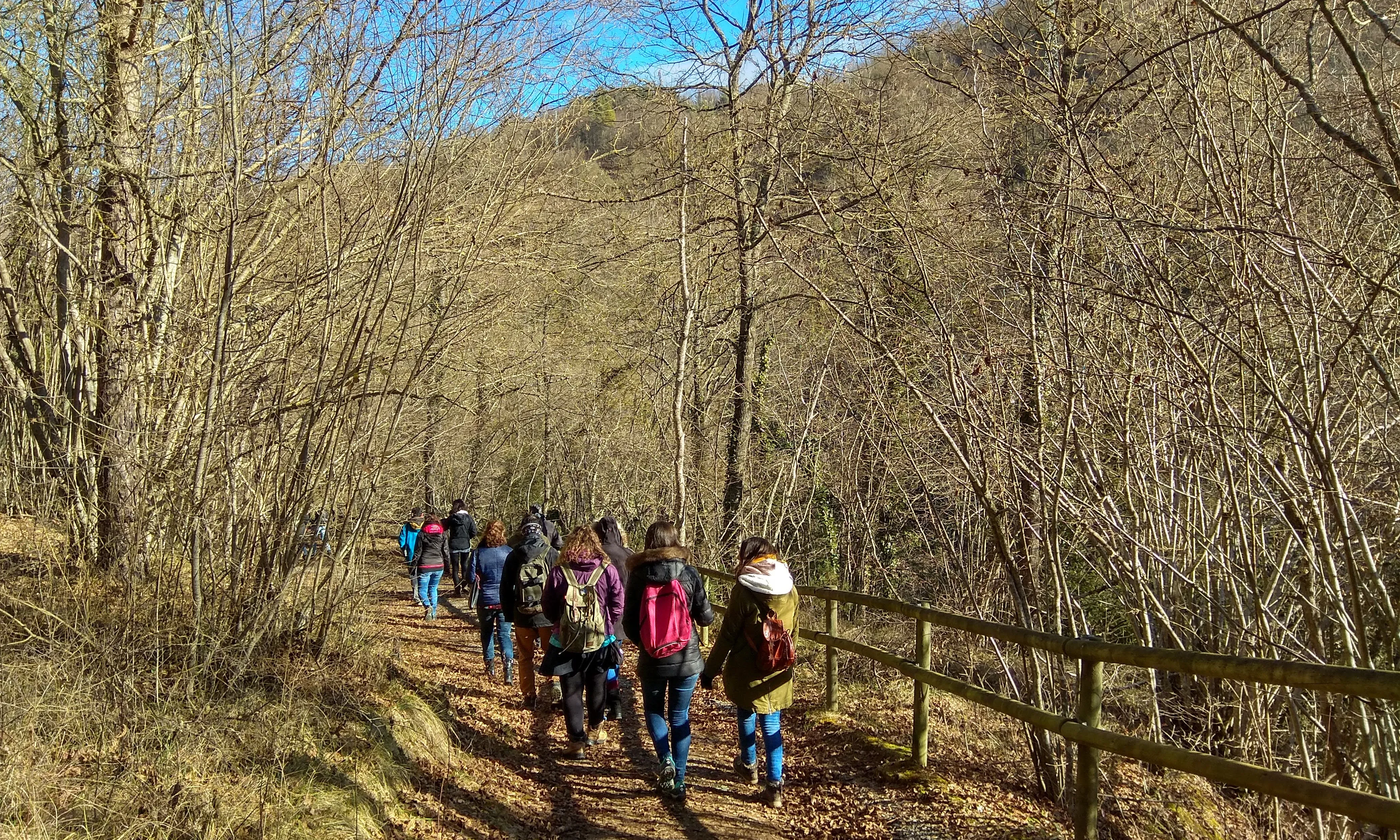 taller Gemma Capdevila Sant Joan de les Abadesses_Natura_Animal Latitude