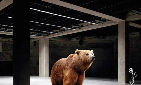 Per George Monbiot el 'Rewilding', la naturalització, és una oportunitat per regenerar els ecosistemes i recuperar també llibertat per als éssers humans. 