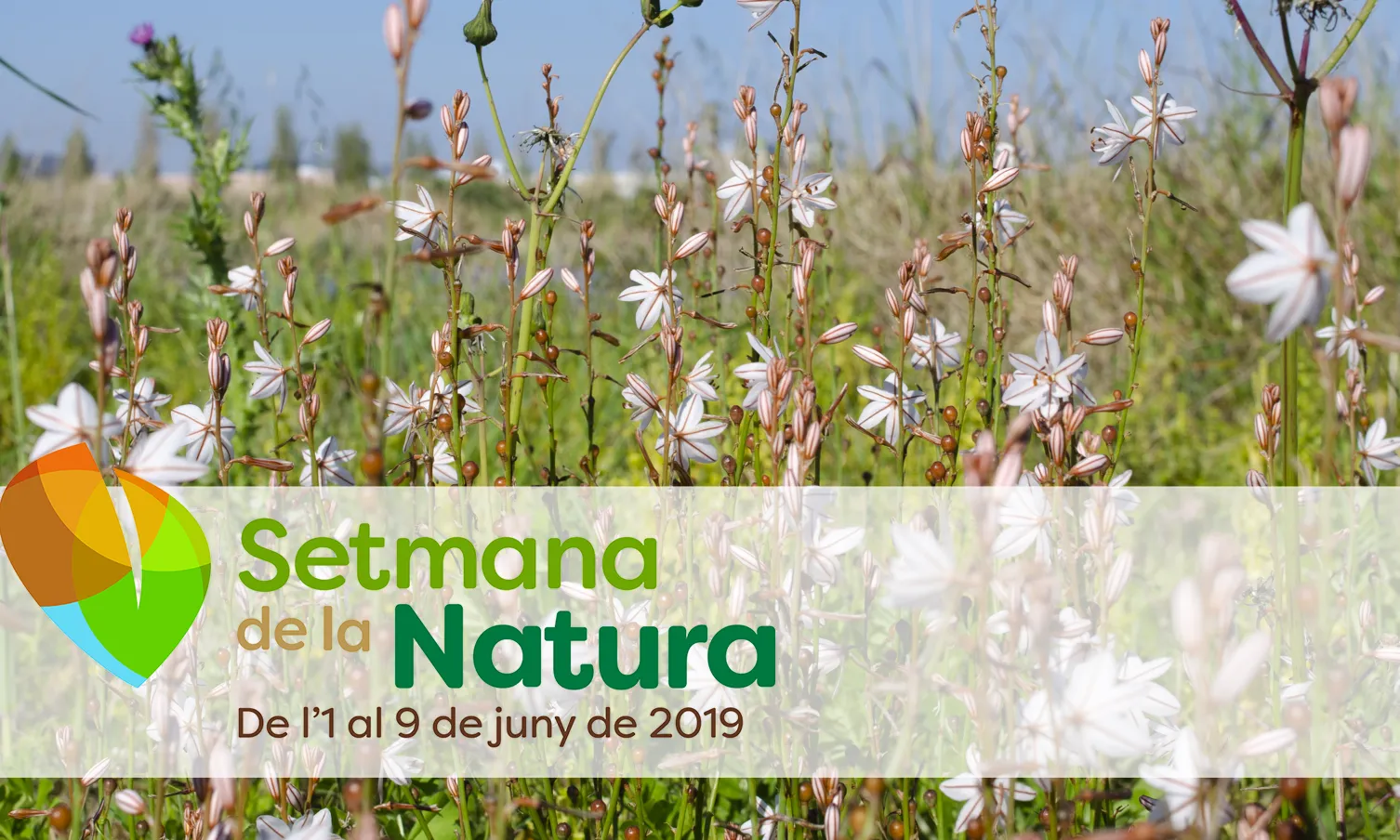 Setmana Natura