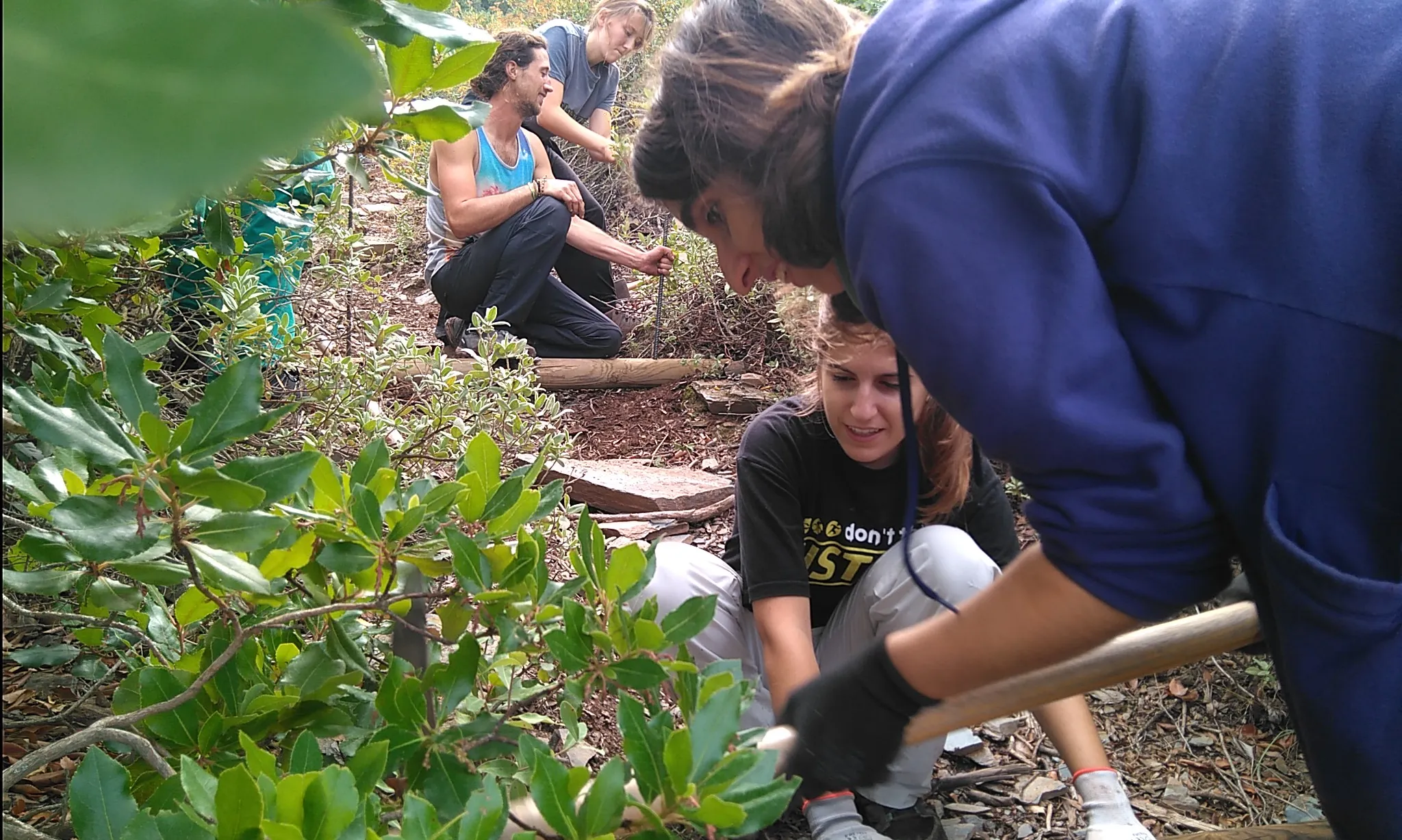 Jornades de voluntariat de boscos mediterranis del 2018