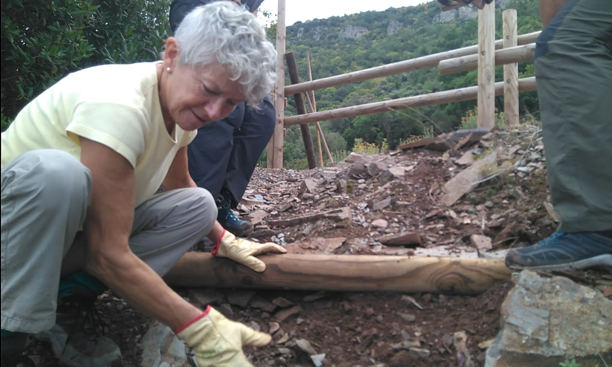 Jornades de voluntariat de boscos mediterranis del 2018