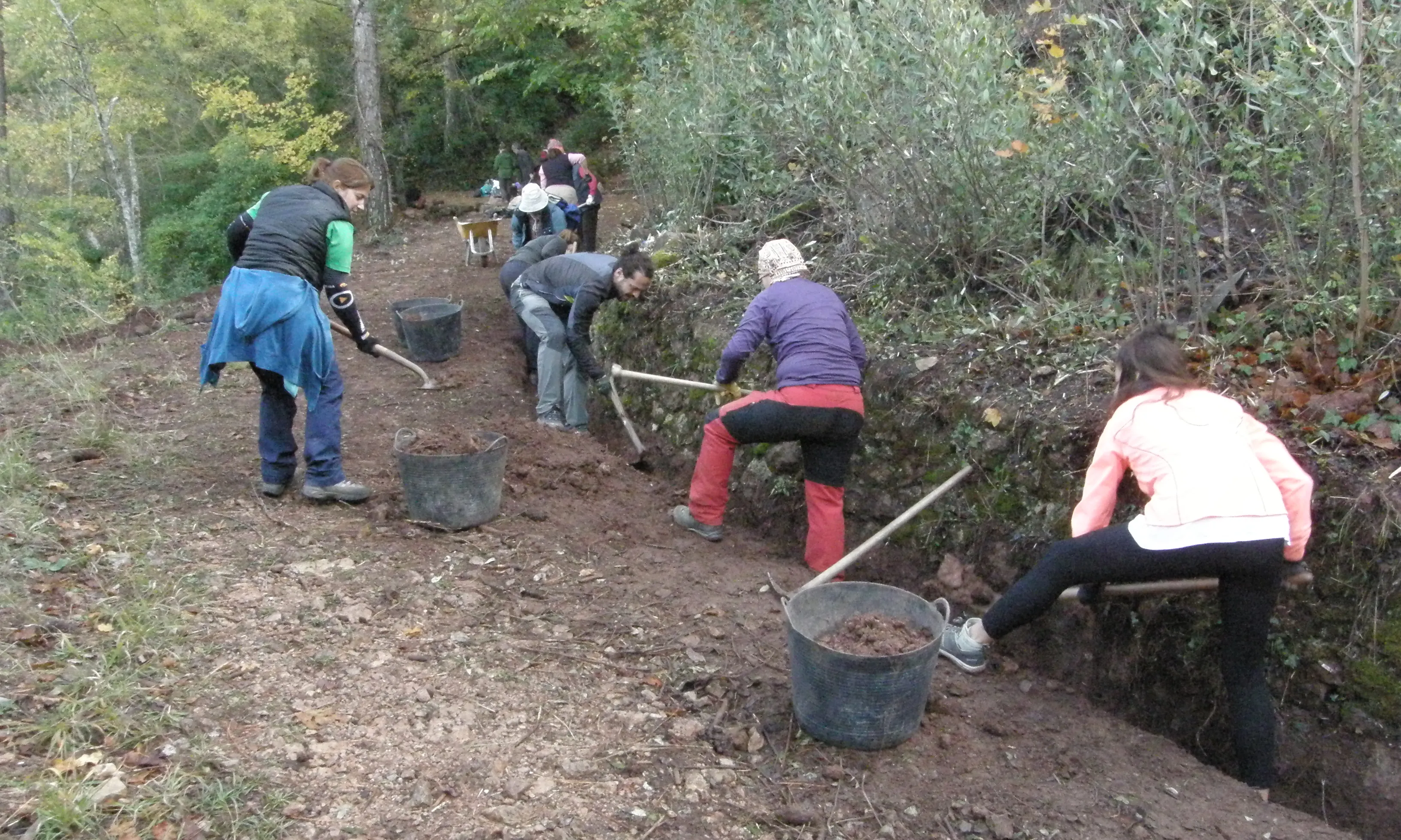 Jornades de voluntariat de boscos mediterranis del 2018