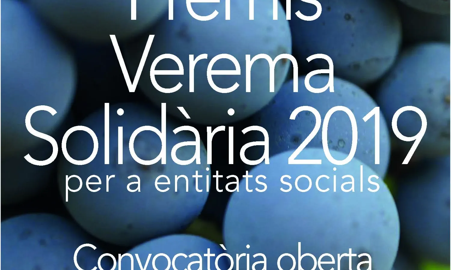 Premis Verema Solidària 2019