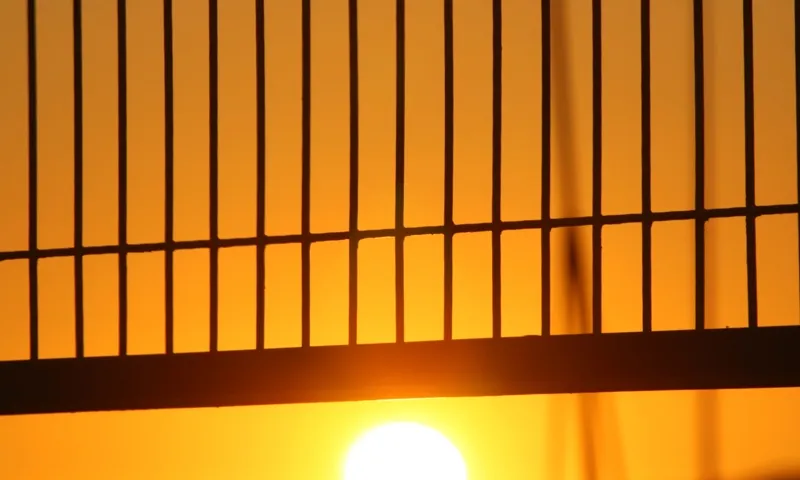 Reixa amb posta de sol al fons