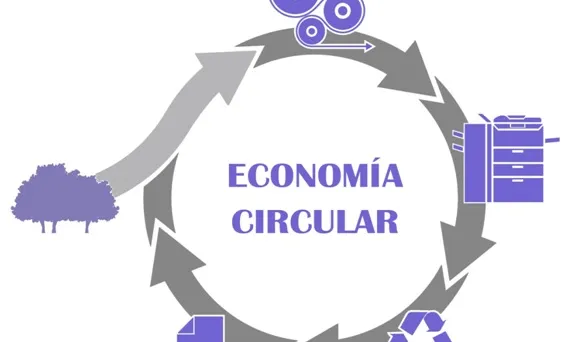 Un bon exemple: aplicació de l'economia circular a la producció i ús de paper