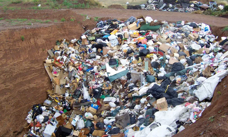 La reducció i el reciclatge dels residus són bàsics per avançar en la preservació de l'ecosistema
