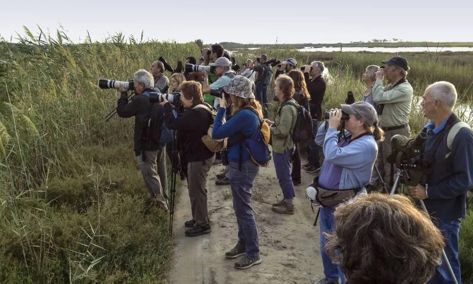 El Delta Birding Festival agrupa un gran nombre d'entitats ambientals, professionals i aficionats a l'ornitologia, l'estudi dels ocells.