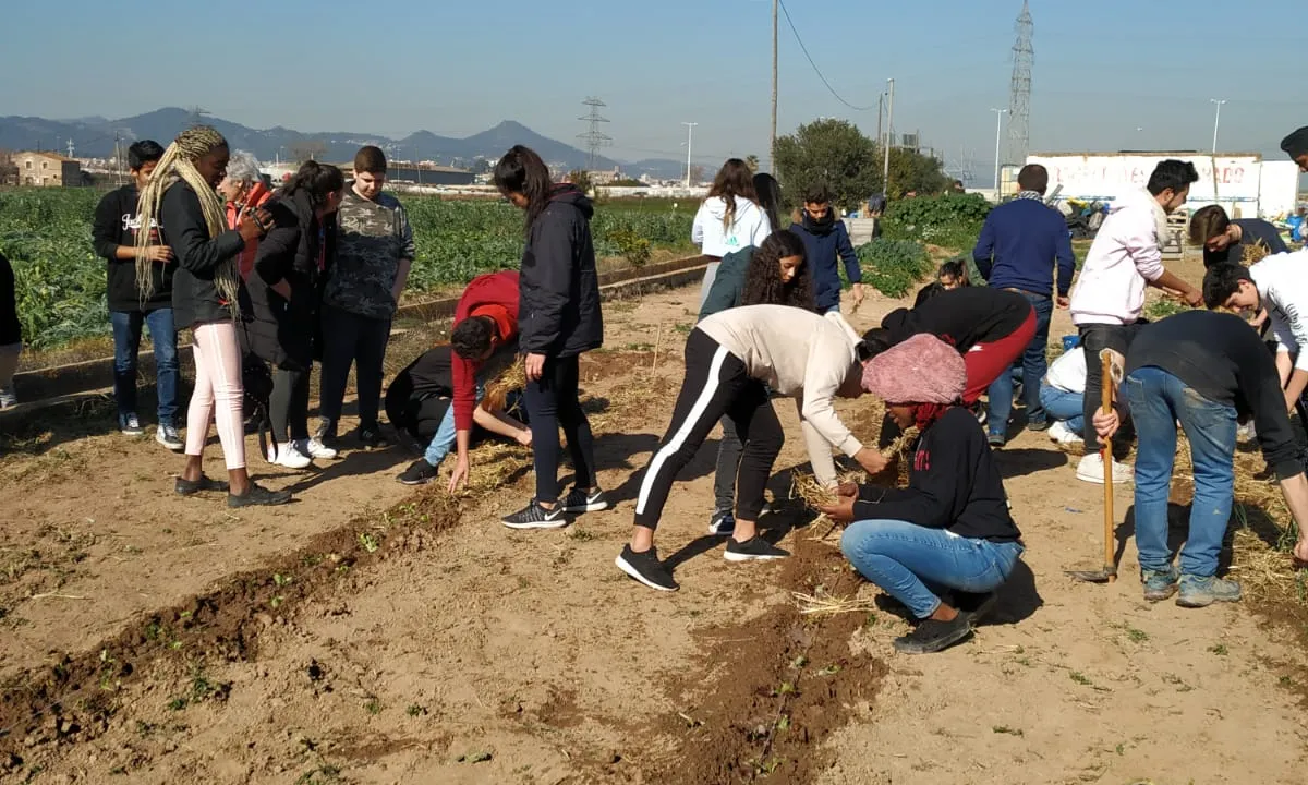 Els instituts treballen per un aprenentatge-servei amb les entitats
