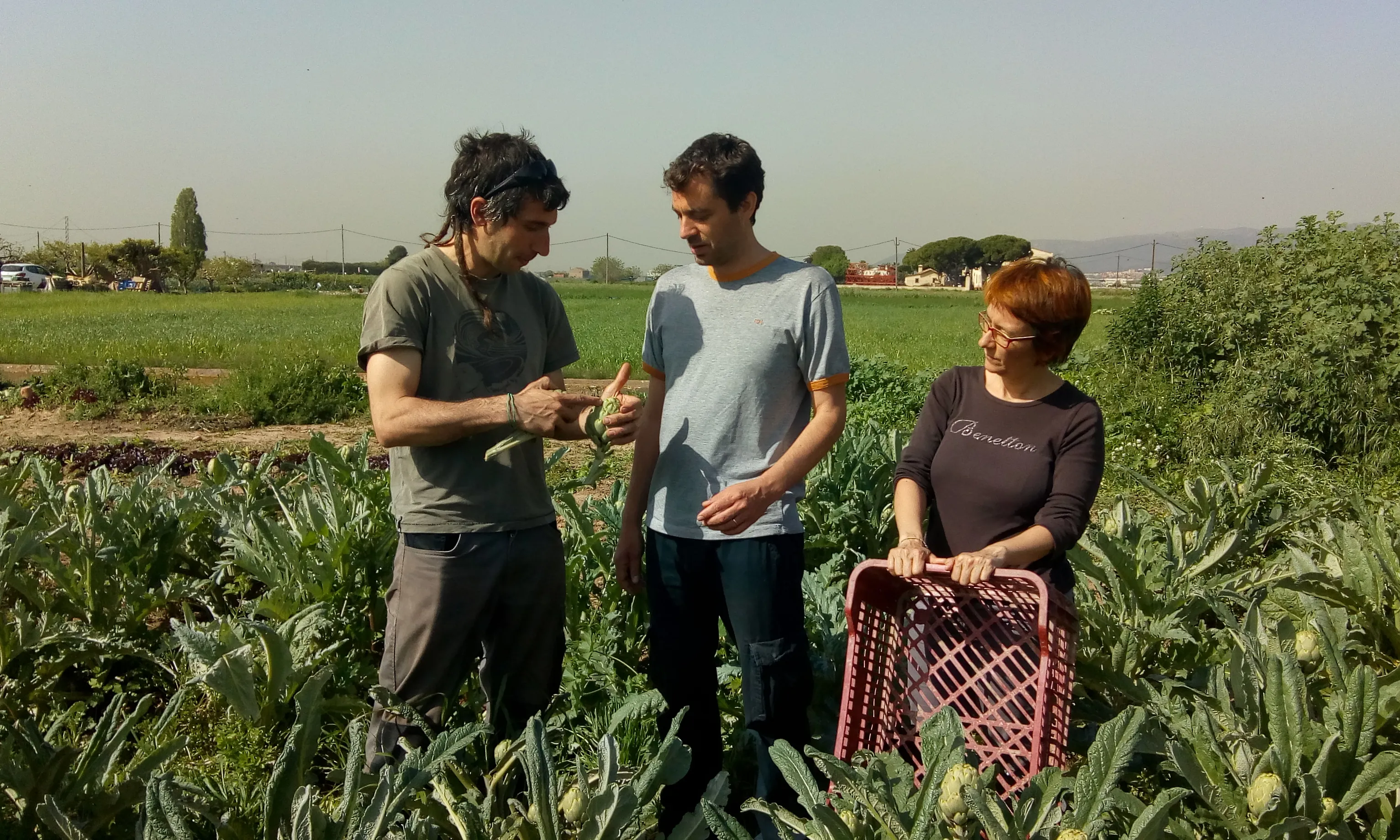 Els projectes de Desos promouen la inserció sociolaboral
