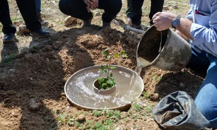 Donut Biodegradable Cocoon