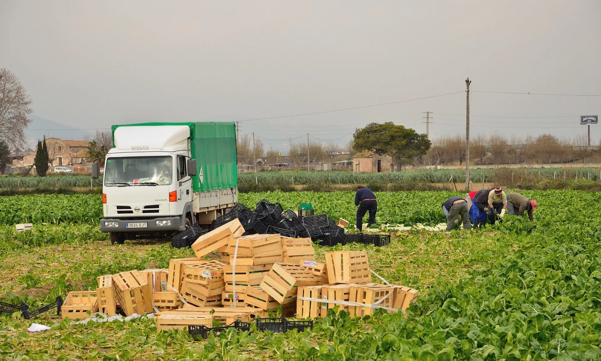 Els temporers han estat gairebé dues setmanes dormint al carrer en condicions d'insalubritat.