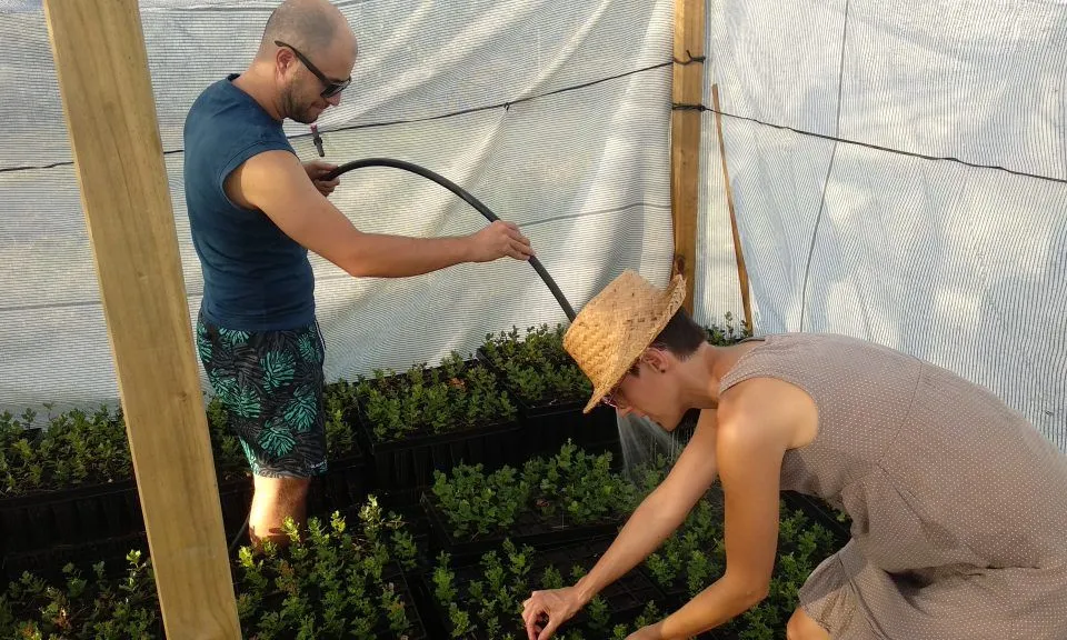 OSMON ja ha iniciat la crida de voluntariat per la campanya de reforestació 2020-2021.