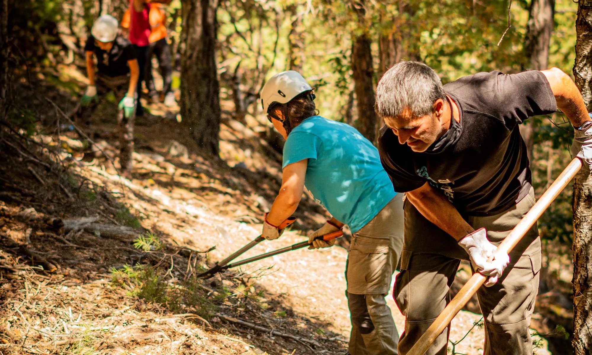 300 persones han participat al llarg de quatre mesos en tasques de millora de boscos i paisatges.