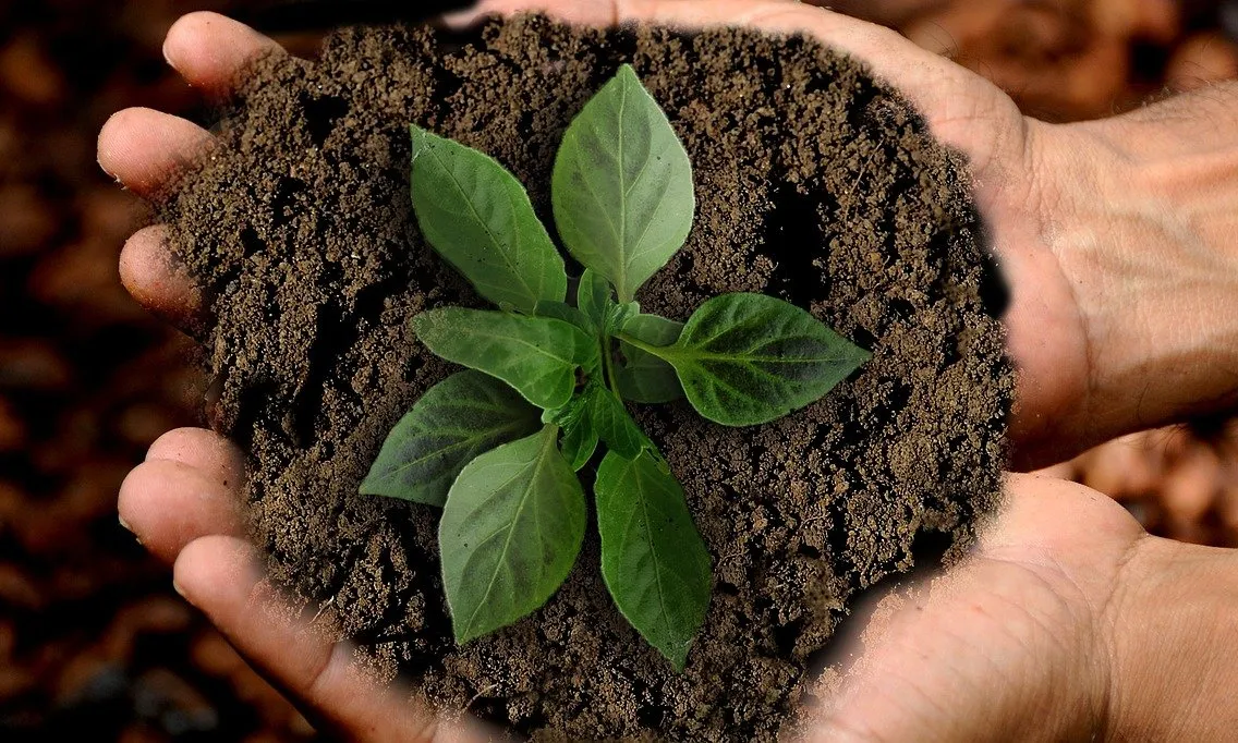 El Nadal esdevé una bona oportunitat per repensar la forma de regalar i escollir opcions que siguin bones per al medi ambient i no generin residus.