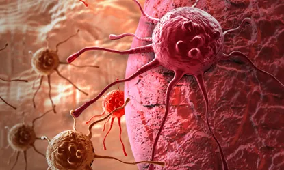  La FECEC reconeix que cada mes es deixen de diagnosticar 90 casos de càncer de mama i 70 de còlon.