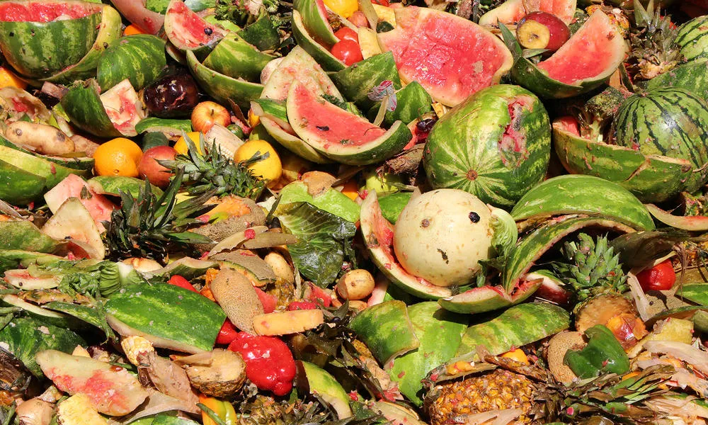 WWF i Tesco adverteixen que el 40% dels aliments cultivats es malbaraten.
