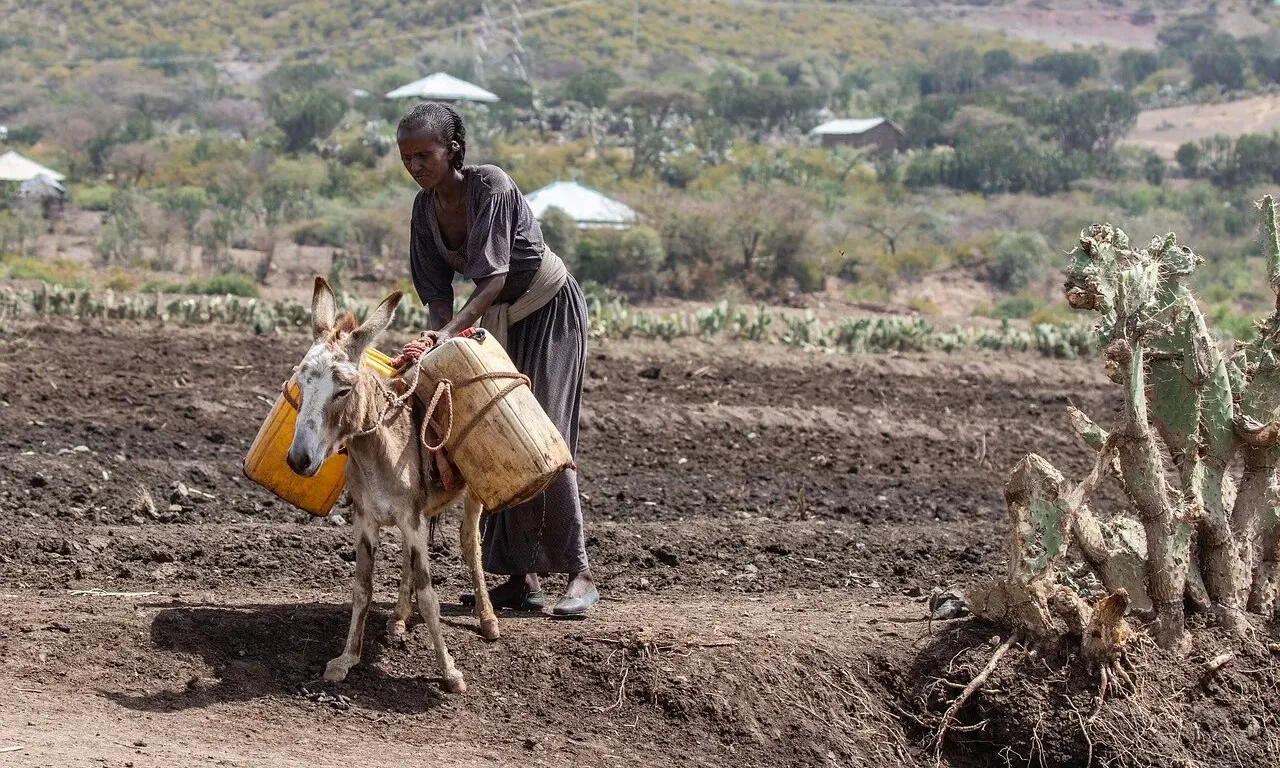El conflicte de Tigre ha deixat més de 350.000 en una situació de fam extrema.