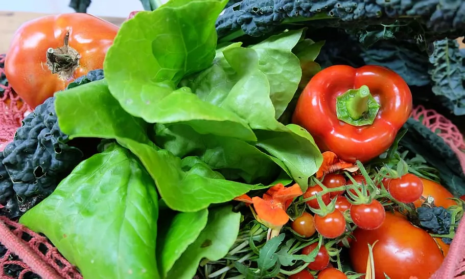 GEGAAN vol implicar la comunitat en la millora de l'alimentació de la gent gran.