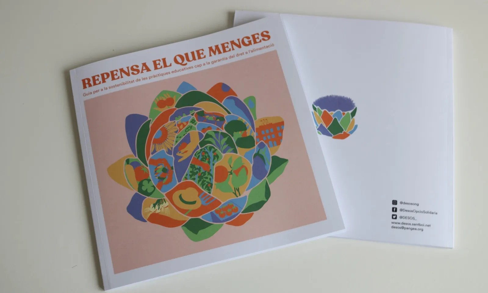 DESOS Opció Solidària presentarà 'Repensa el que menges', una guia per fomentar dinàmiques educatives que promoguin la sostenibilitat alimentària.