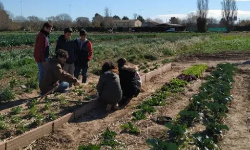  La proposta s'emmarca en el programa 'Transalimenta al Baix Llobregat', un projecte d'Aprenentatge Servei que apropa l'agricultura ecològica i l'alimentació saludable als i les joves.