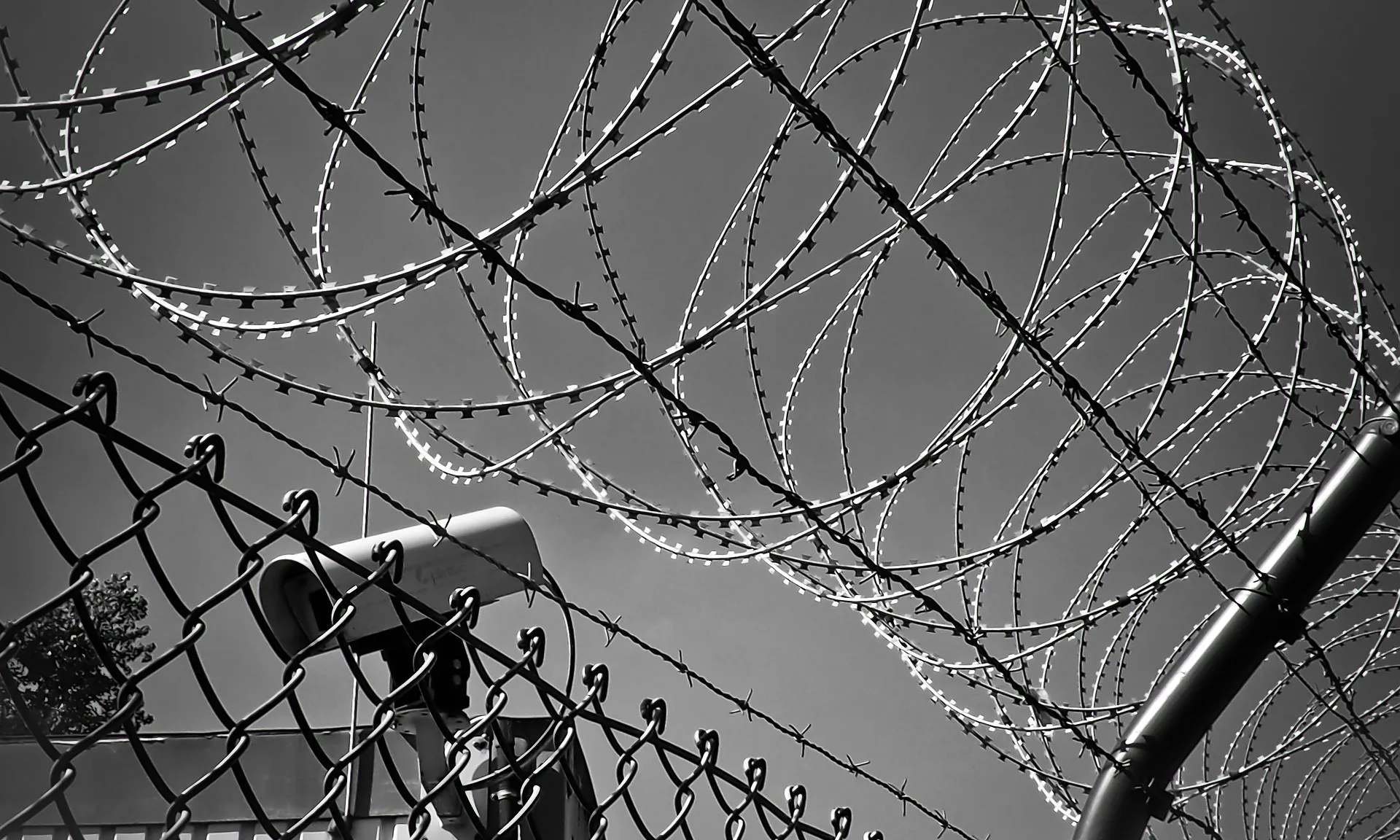 Els primers detinguts van arribar a Guantánamo el gener del 2002.