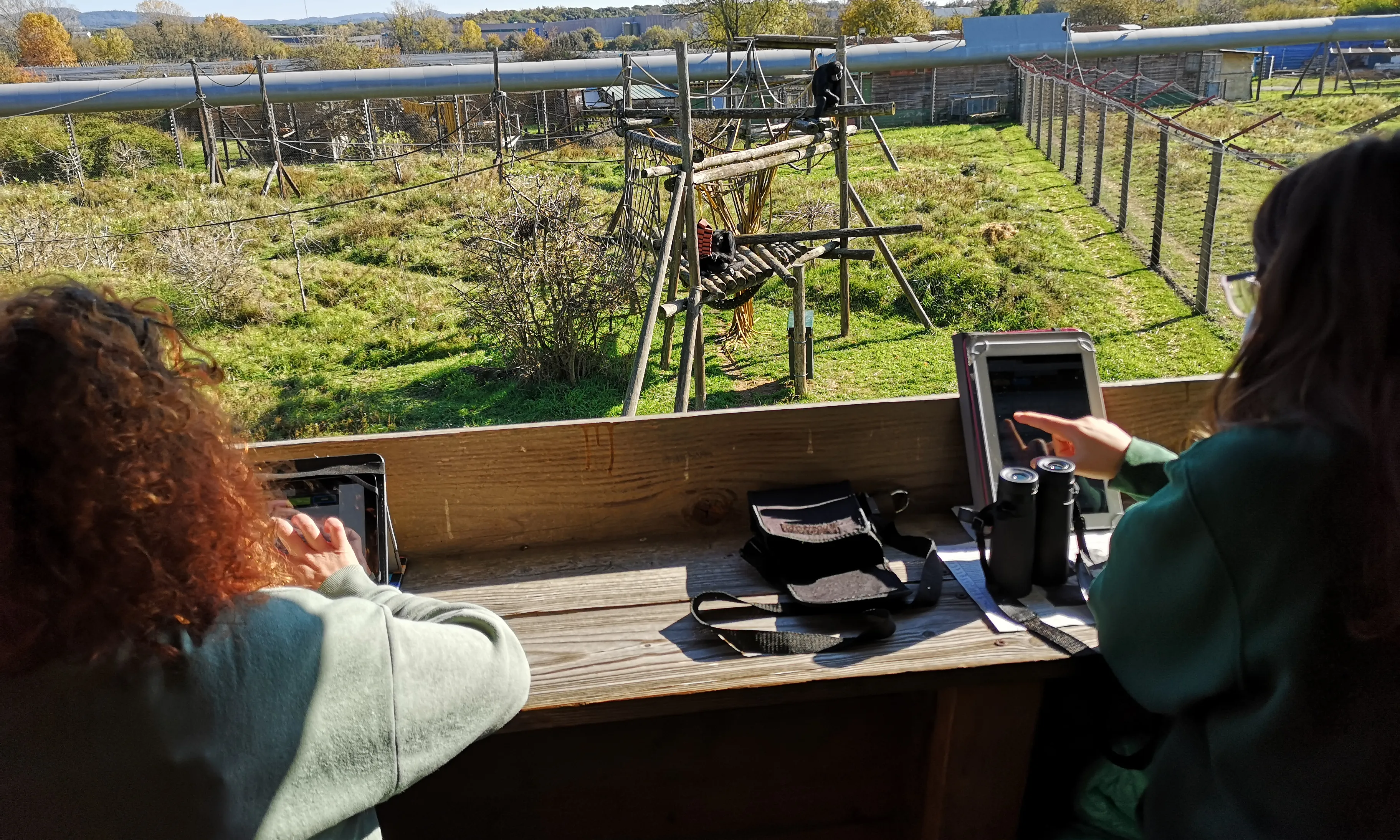 La Fundació MONA aposta per l'educació mediambiental, formació de professionals en el camp de la Primatologia i cura de primats.