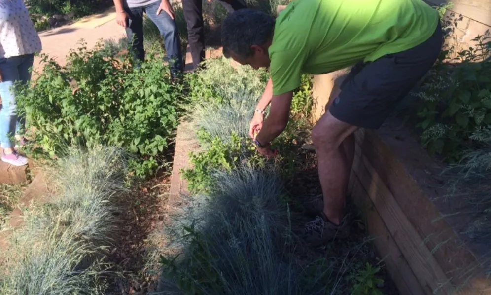 Projecte de l'Associació Hàbitats durant la Setmana dels Boscos.