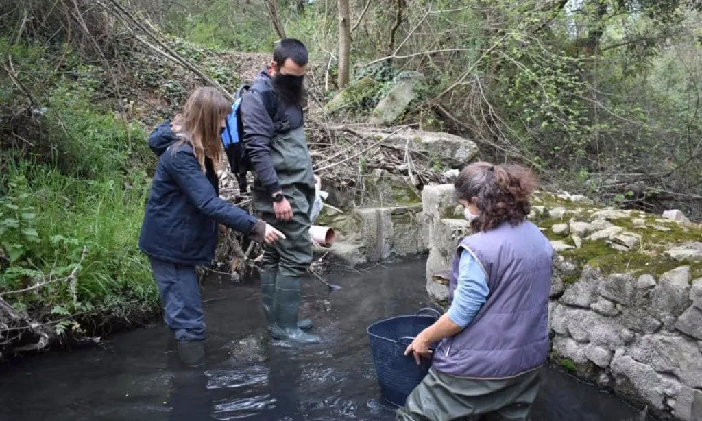 La Fundació Emys ofereix a les empreses participar en projectes actius de l'entitat.