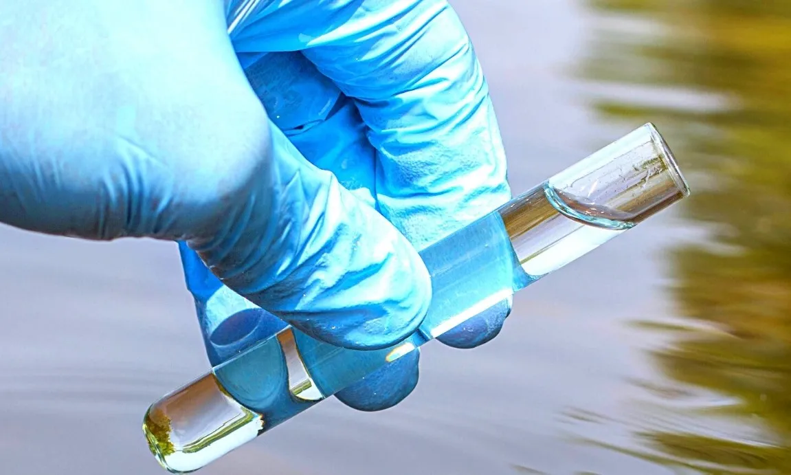 La tasca de les voluntàries és avaluar una sèrie de paràmetres a través de metodologia científica, per avaluar l'estat del tram de riu.