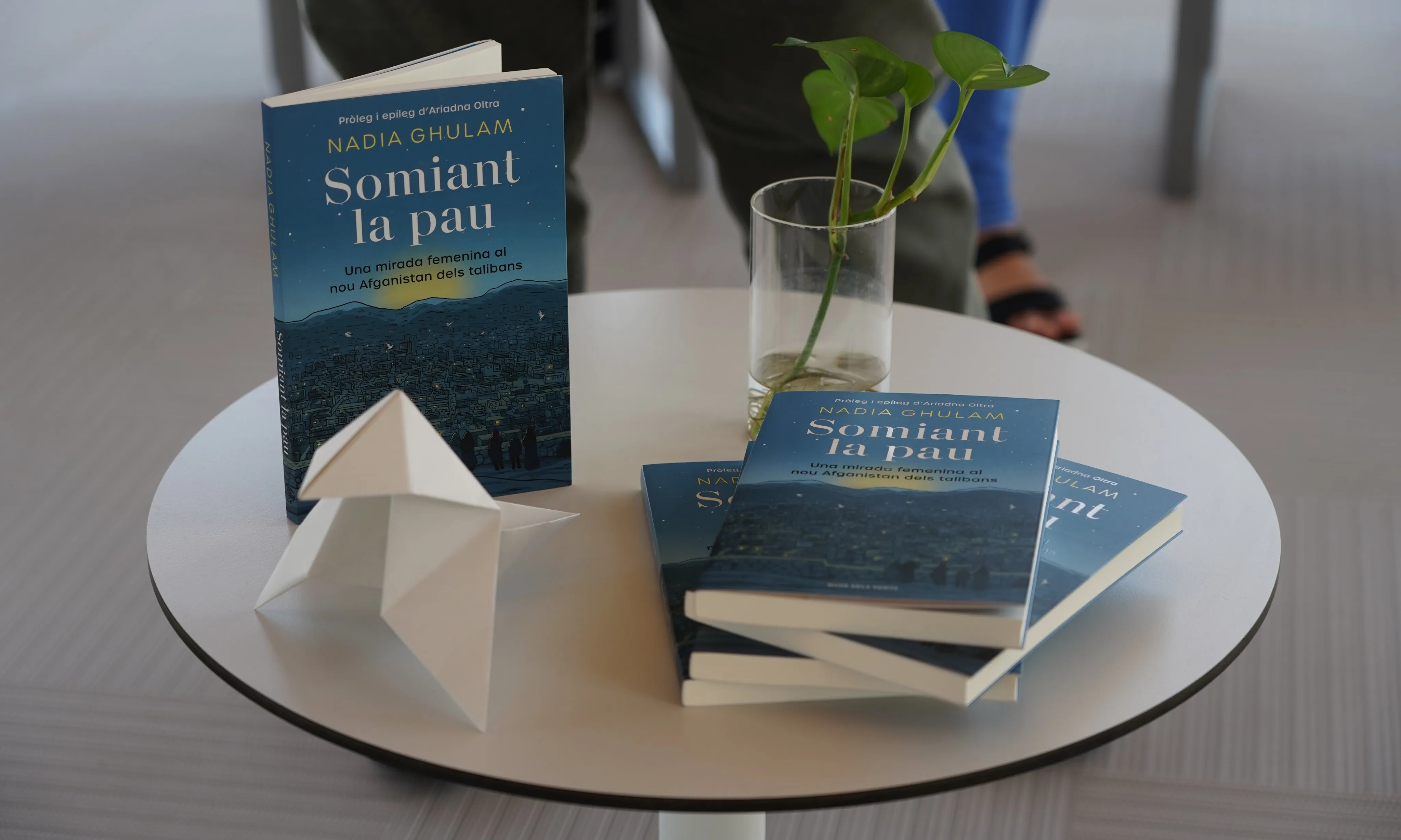 'Somniant la pau' (Rosa dels Vents) de Nadia Ghulam és una història sobre persones refugiades i les dificultats per fugir de la guerra.