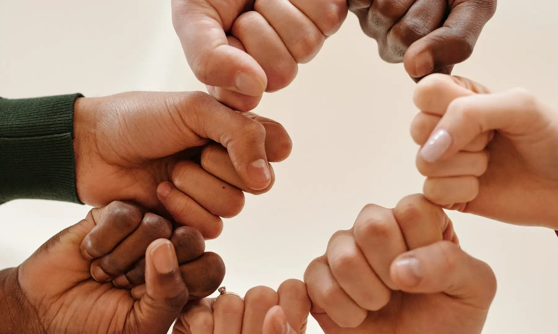 Foment llengua catalana