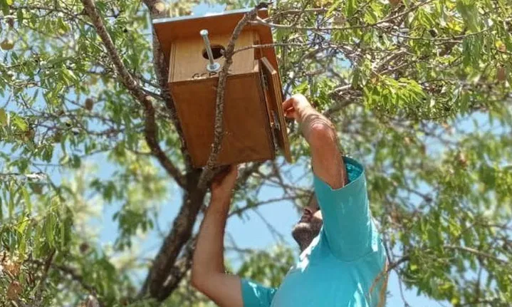 L'Alt Camp, el Baix Penedès, el Baix Camp, el Tarragonès, el Montsià i la Terra Alta són les comarques on s'ha actuat.