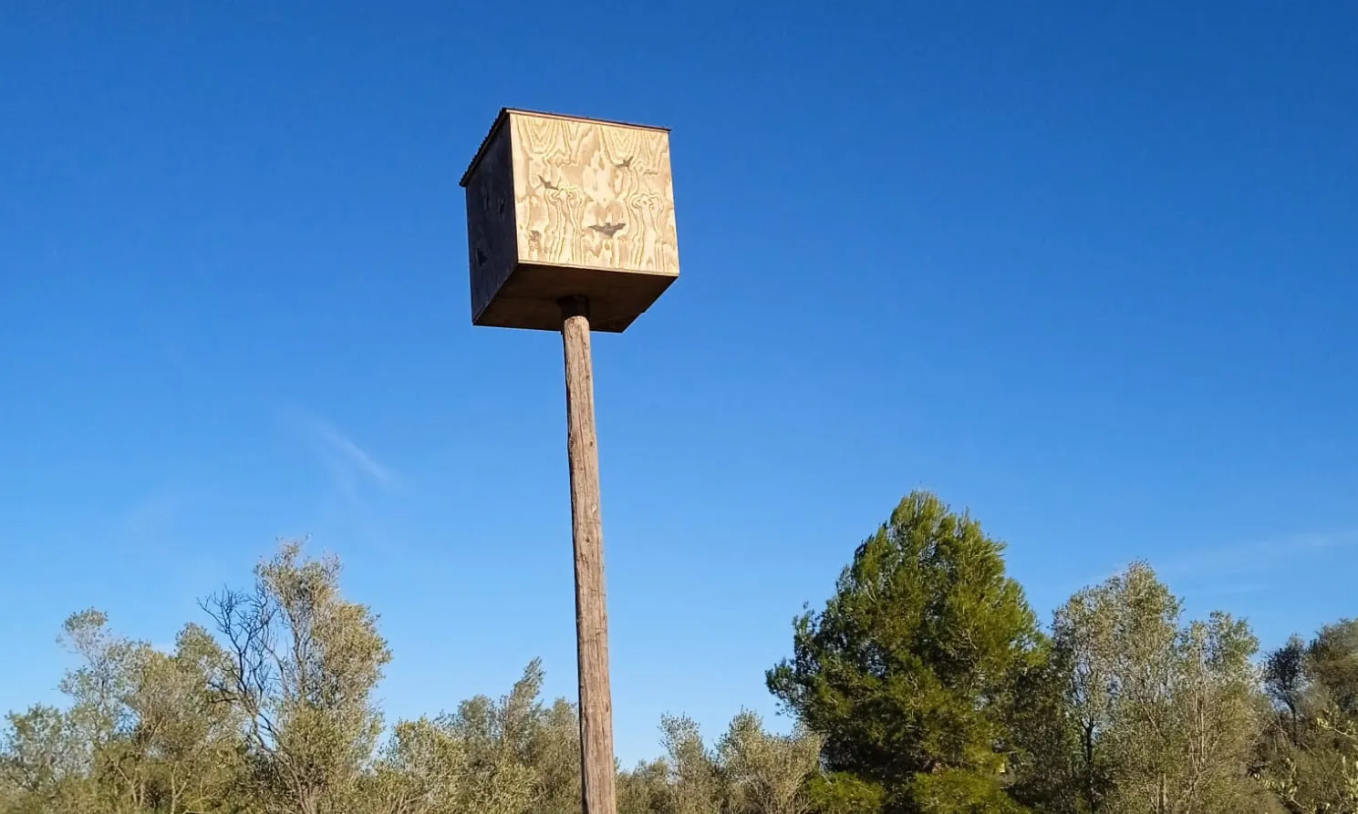 Al llarg del 2022, des del GEPEC-EdC han instal·lat més de dos-cents refugis per a fauna, entre ells caixes niu, basses per a amfibis i hotels d'insectes.