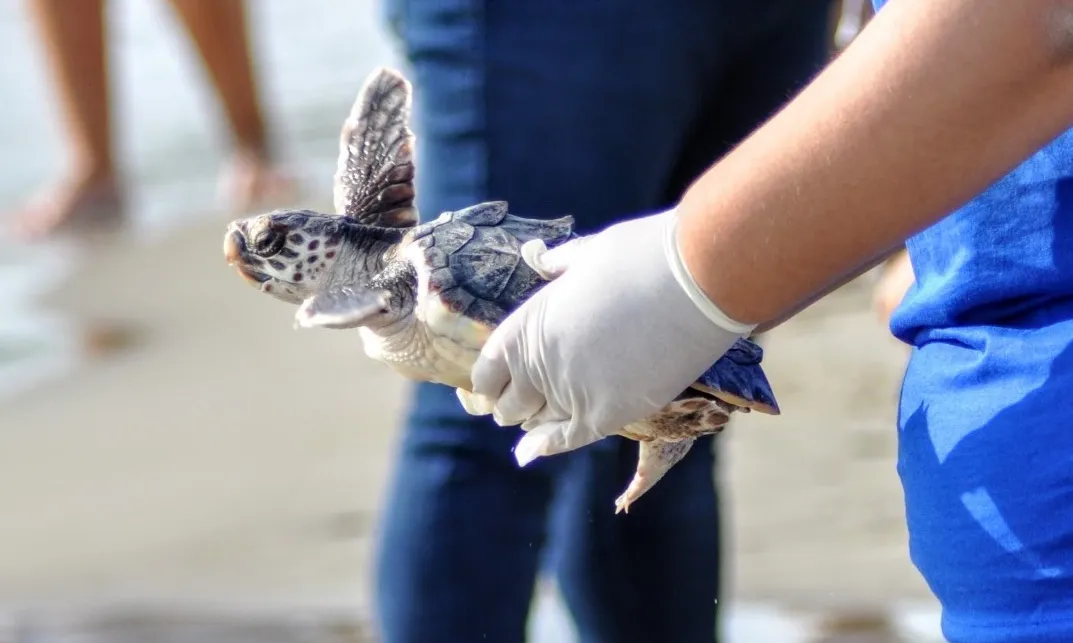 Persones amb diversitat funcional, amb mobilitat reduïda o amb deficiència visual són alguns dels col·lectius que s'inclouen en el projecte.