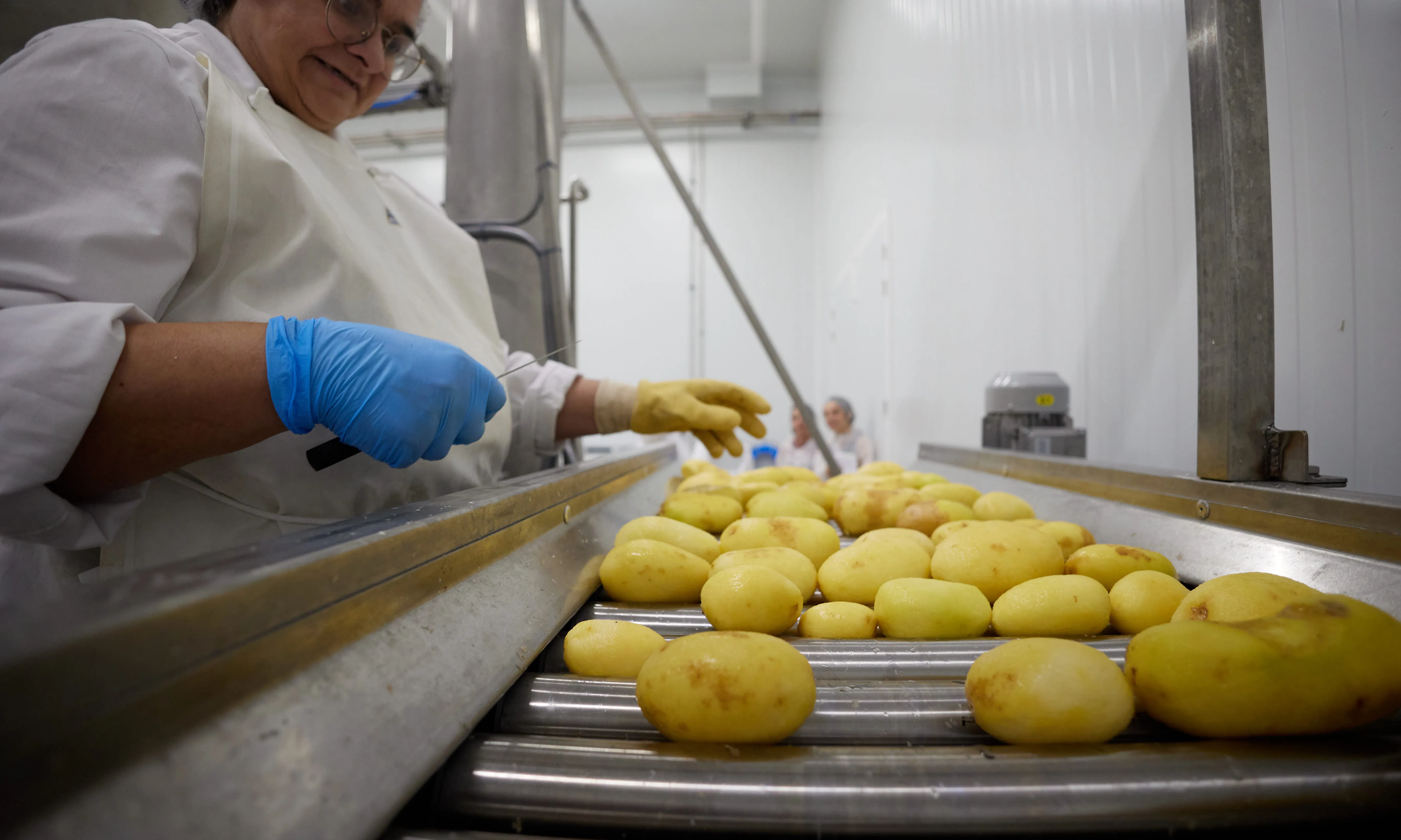 Les patates Sant Tomàs són un producte fet amb ingredients amb valor afegit: l'oli d'oliva verge arbequina i la patata agria.