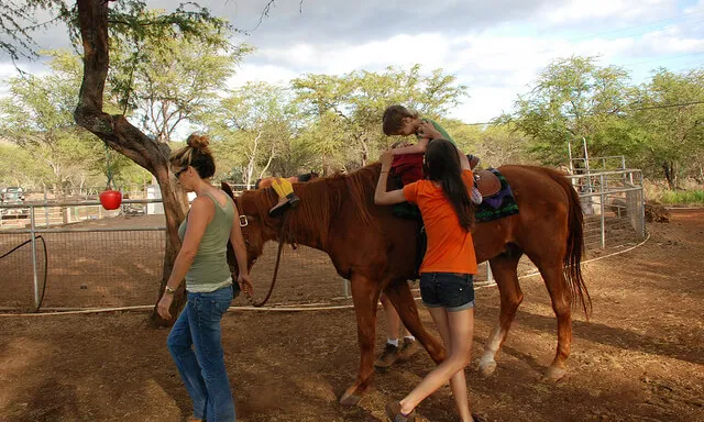 Equinoteràpia. Font: Makena G (Flickr)