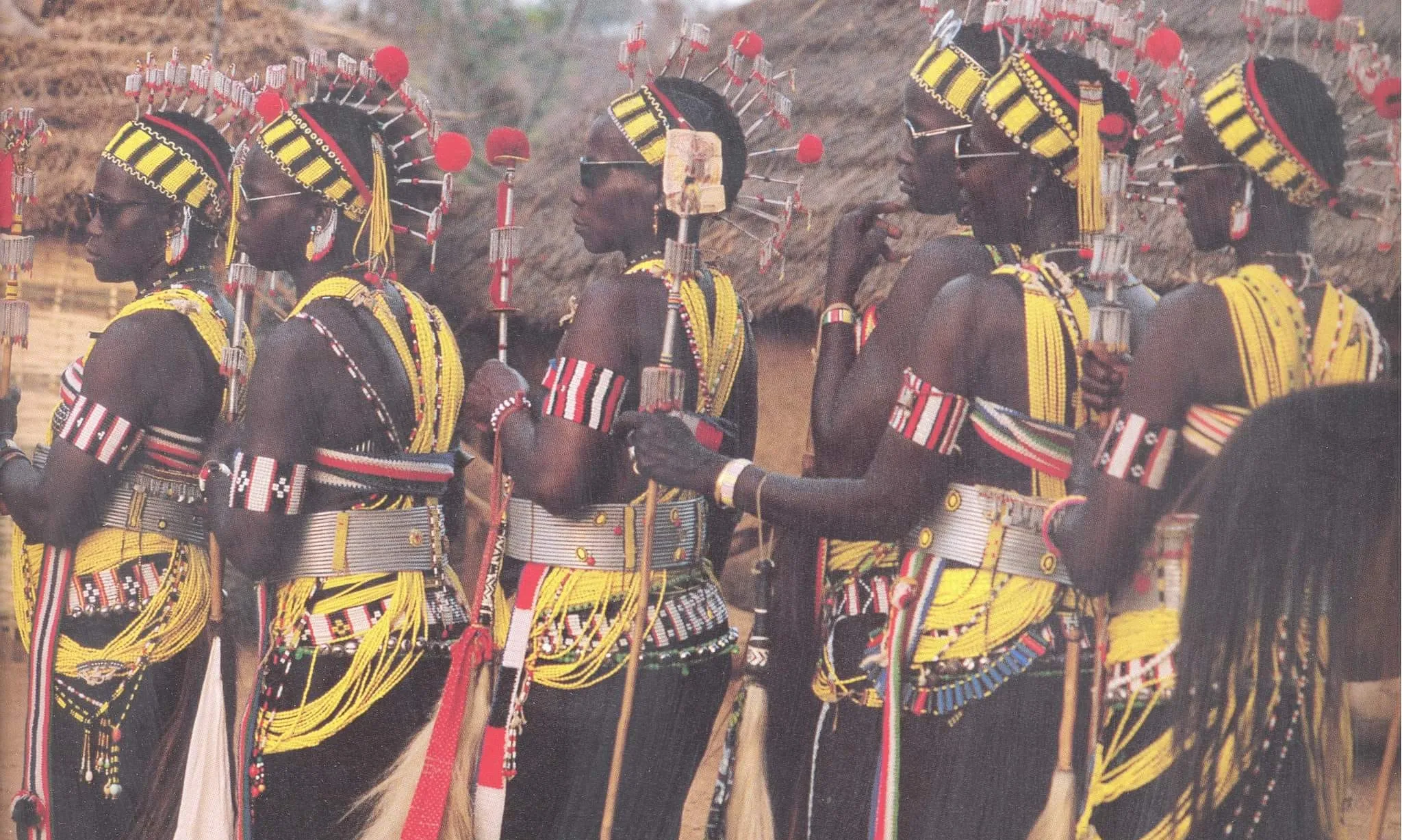 El País Bassari és una zona de l'Àfrica de l'Oest que destaca per la seva riquesa cultural i paisatgística.