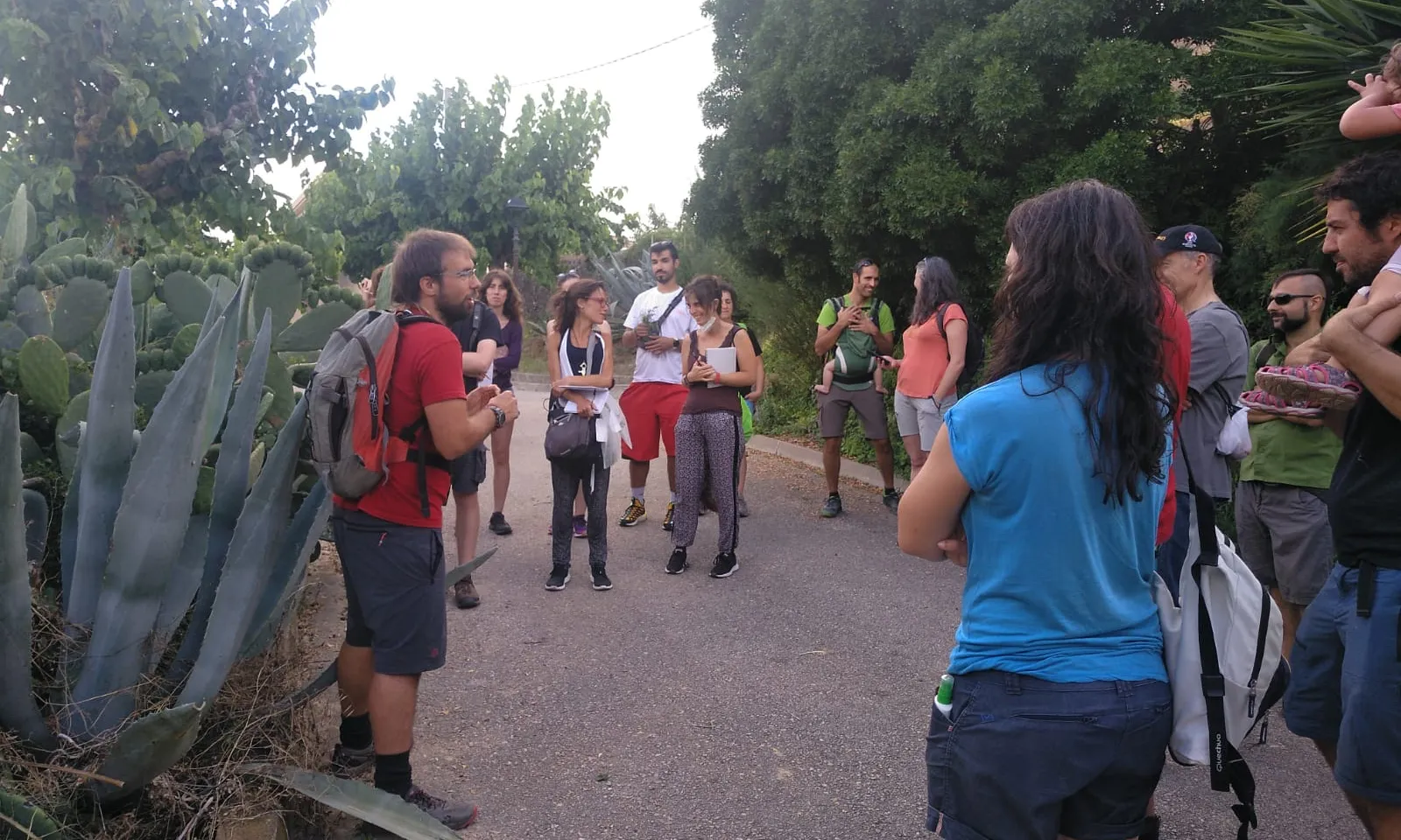 El col·lectiu Eixarcolant celebra anualment la jornada gastronòmica de plantes silvestres a Igualada, oferint diverses activitats per conèixer aquestes plantes.