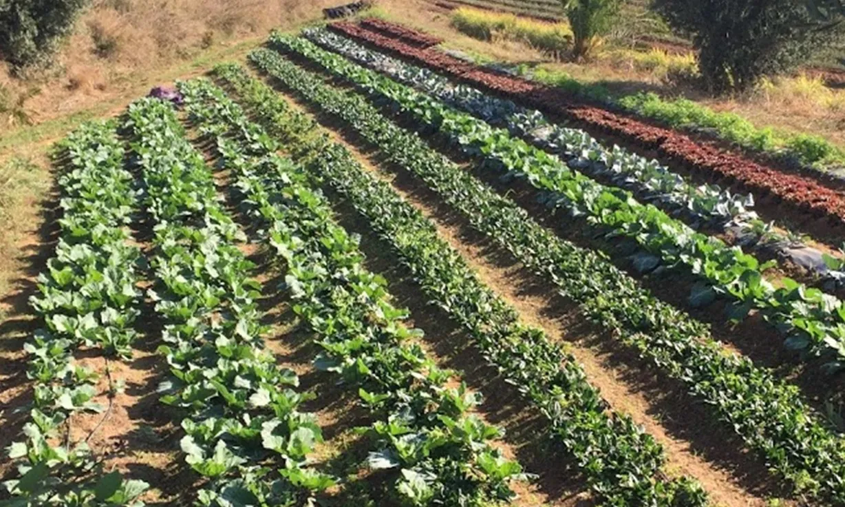 L'¡APACat defensa un mosaic agrari que promou la pastura permanent gestionada, l’agricultura local i ecològica i el consum racional d’aliments saludable.