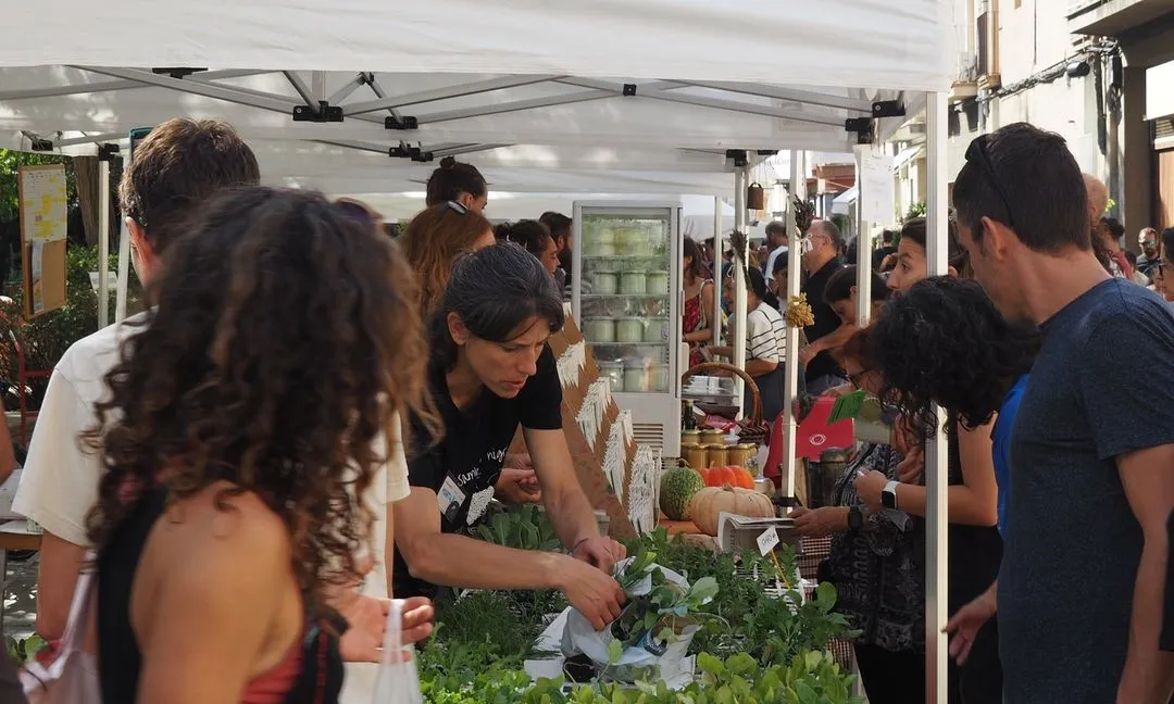 Eixarcolant organitza les Jornades Gastronòmiques de les Plantes Oblidades.
