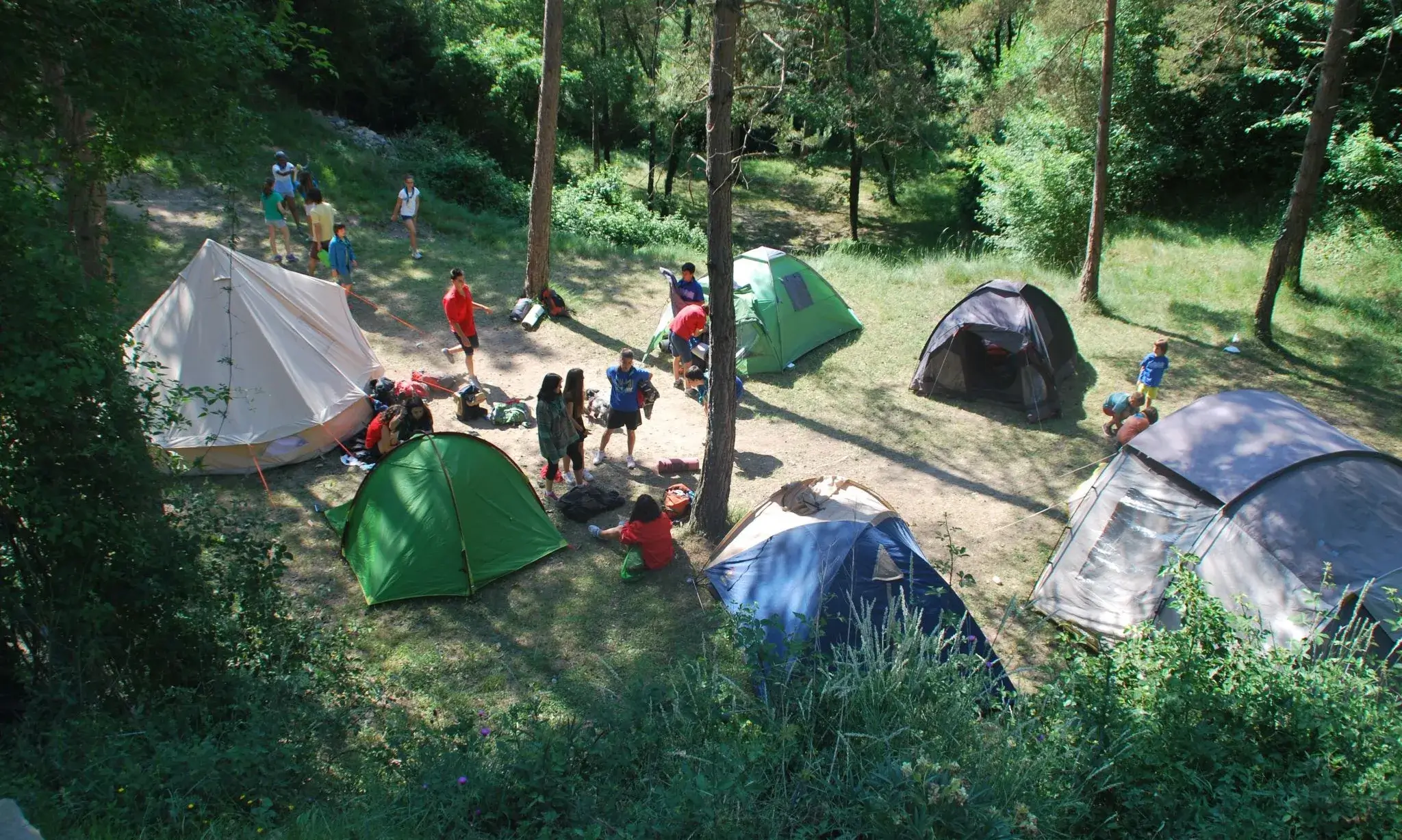 Campaments estiu MEG