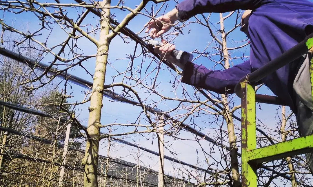 Preservar la terra com a recurs fonamental de l’economia és un dels propòsits de Biolord.